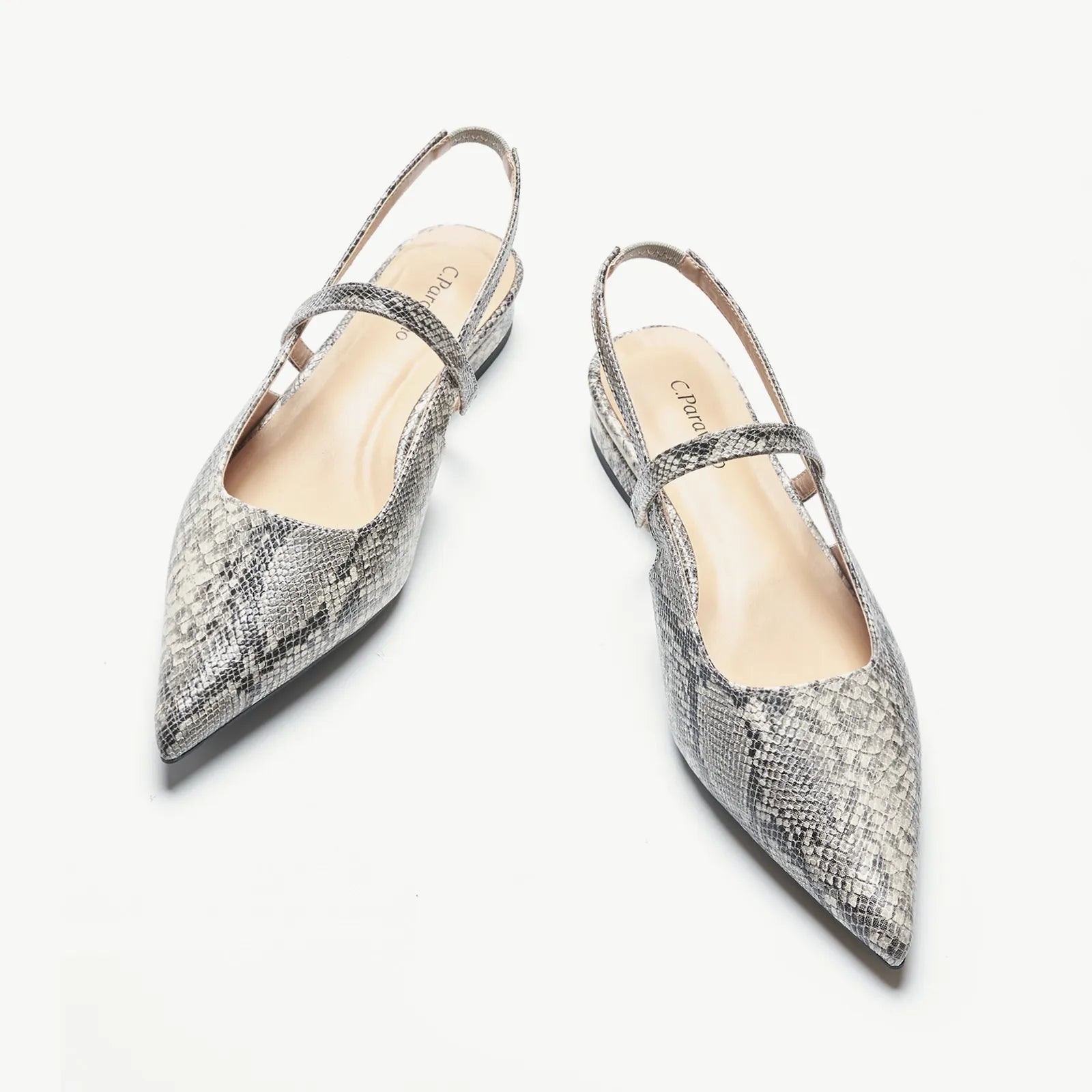 Grey Snake